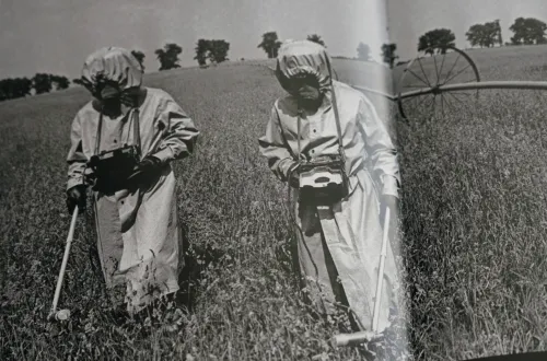 Tchernobyl la Corse 40 ans après le nuage